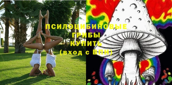 прущая мука Рославль